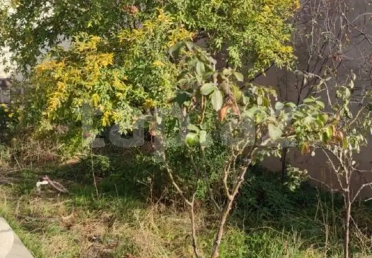 3 otaqlı mənzil , Bakı