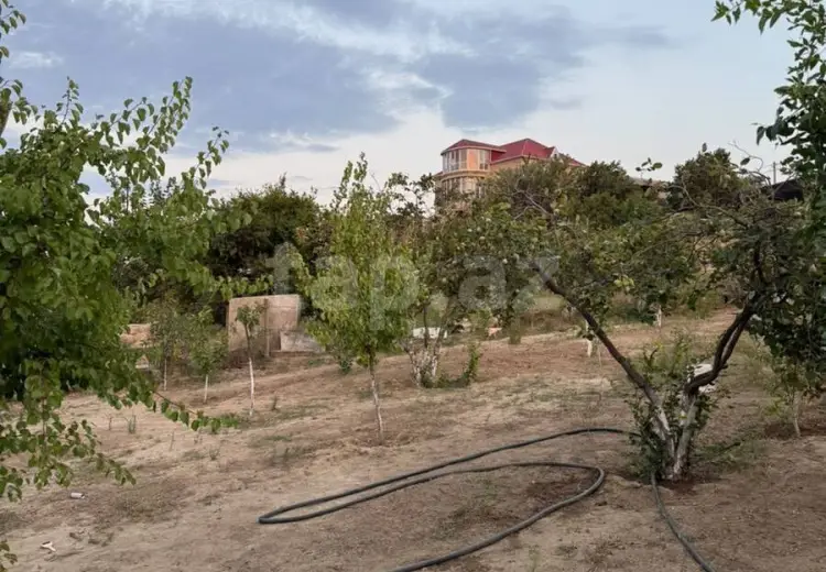 0 m² Obyekt / Ofis , Saray, Abşeron