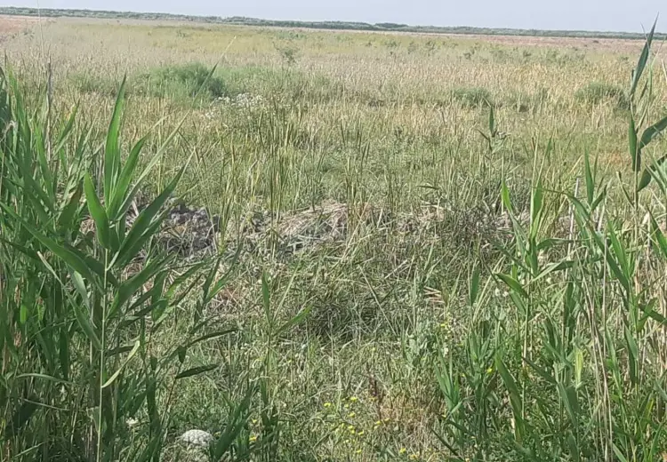 44051.2 sot Torpaq Satılır, Ağsu