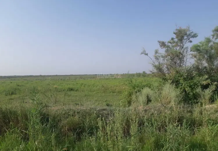 44051.2 sot Torpaq Satılır, Ağsu