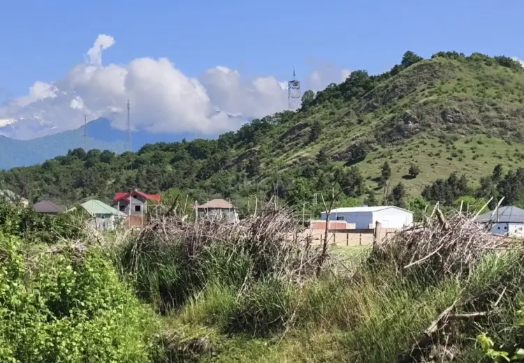 38 sot Torpaq Satılır, Zaqatala