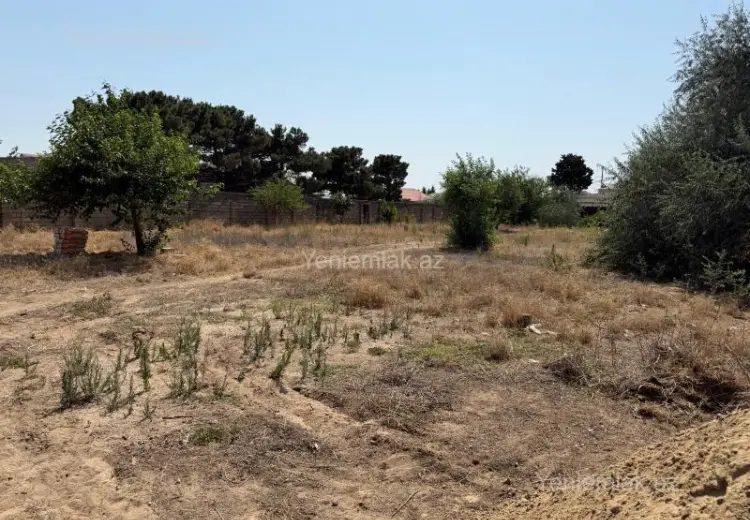 12 sot Torpaq Satılır, Buzovna, Xəzər, Bakı