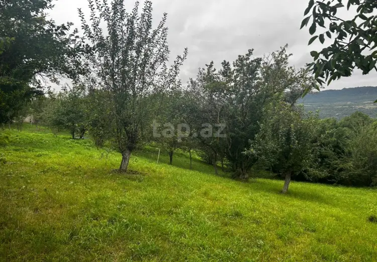 0 m² Obyekt / Ofis , Quba