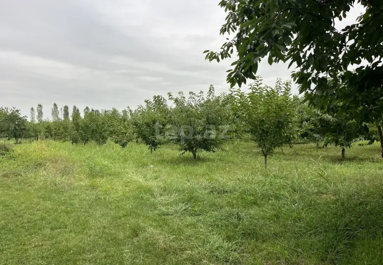 0 m² Obyekt / Ofis , Qusar
