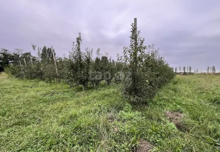 0 m² Obyekt / Ofis , Qusar