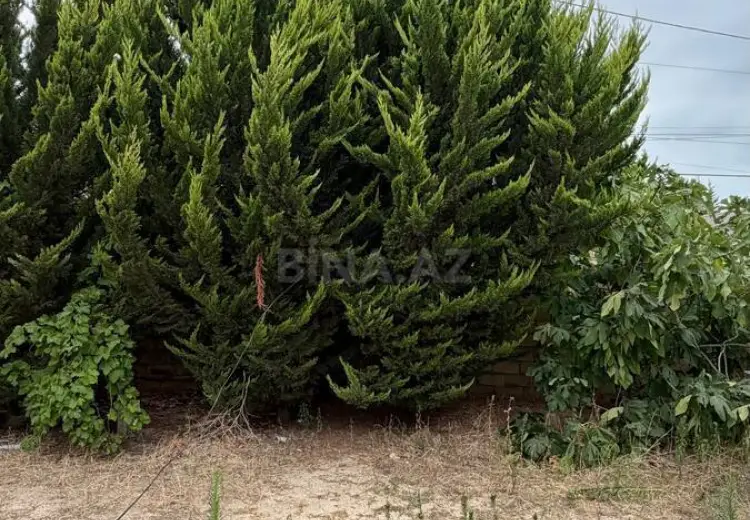 5 sot Torpaq Satılır, Goradil, Abşeron