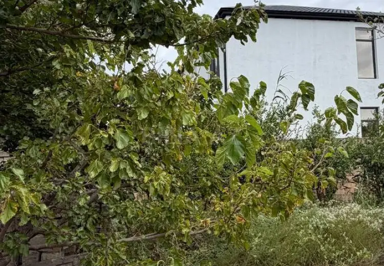 5 sot Torpaq Satılır, Goradil, Abşeron