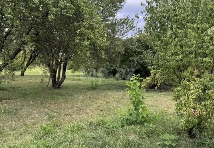 0 m² Obyekt / Ofis , İsmayıllı