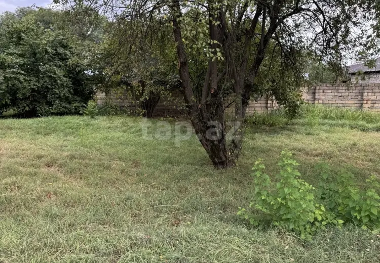 0 m² Obyekt / Ofis , İsmayıllı