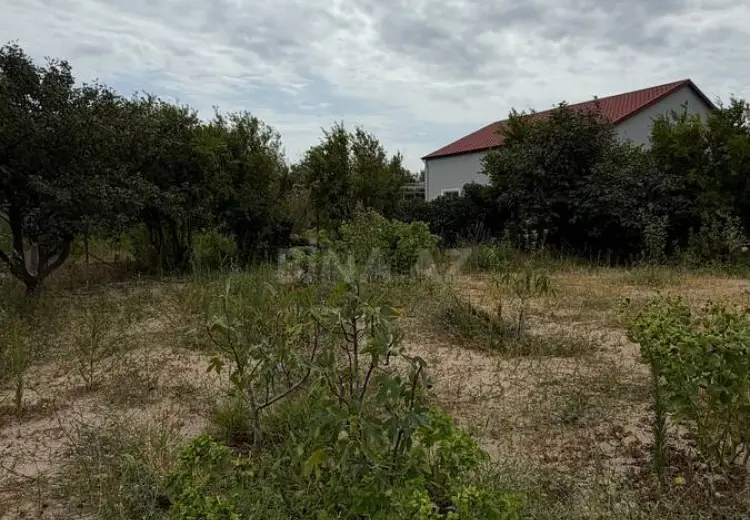8 sot Torpaq Satılır, Goradil, Abşeron