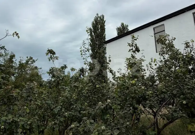 0 m² Obyekt / Ofis , Bakı