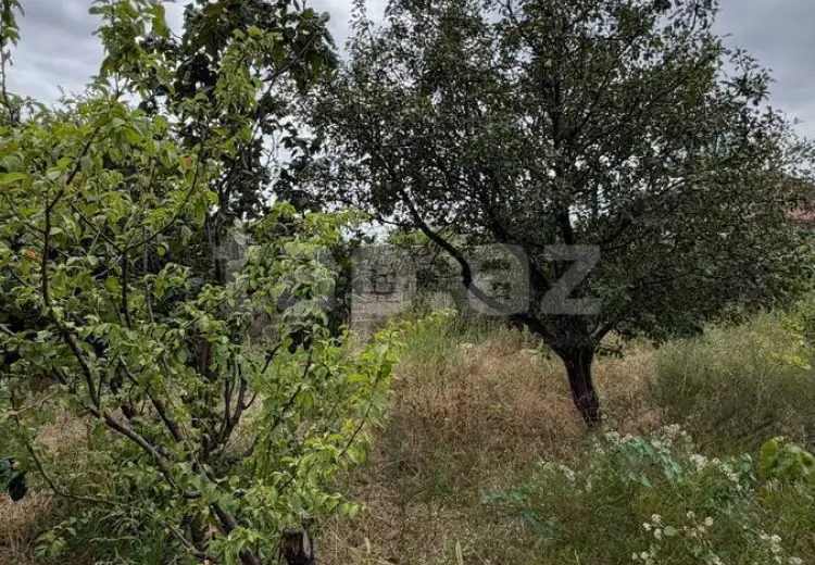 0 m² Obyekt / Ofis , Bakı