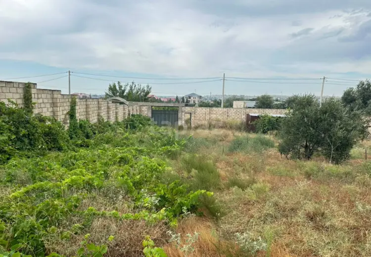 0 m² Obyekt / Ofis , Saray, Abşeron