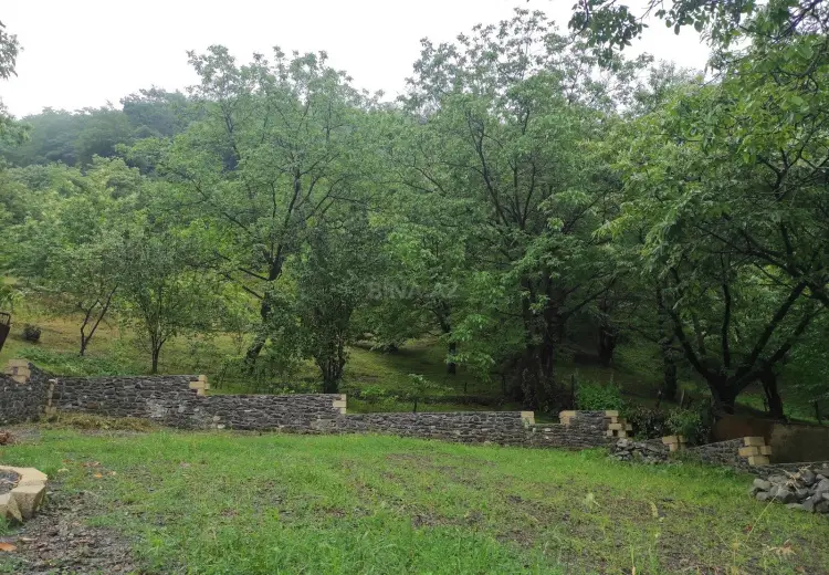 4.3 sot Torpaq Satılır, Qəbələ
