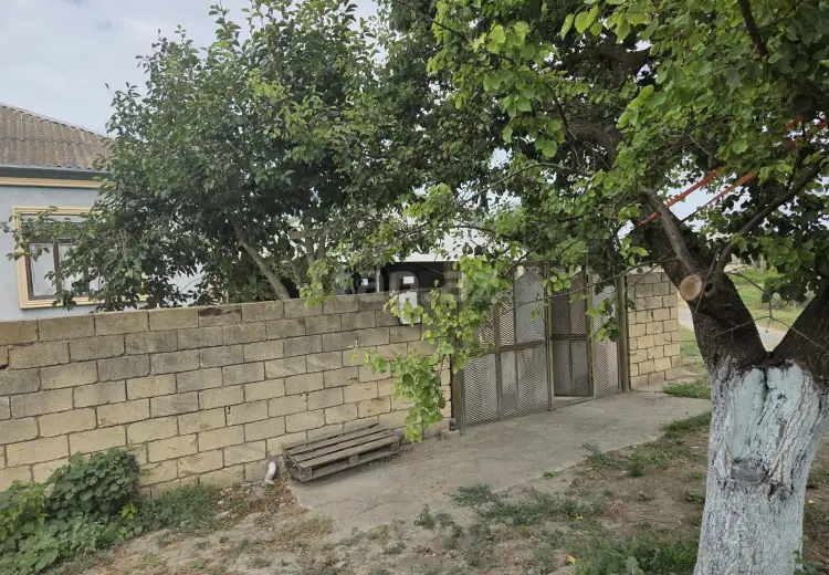 3 otaqlı mənzil , Xaçmaz