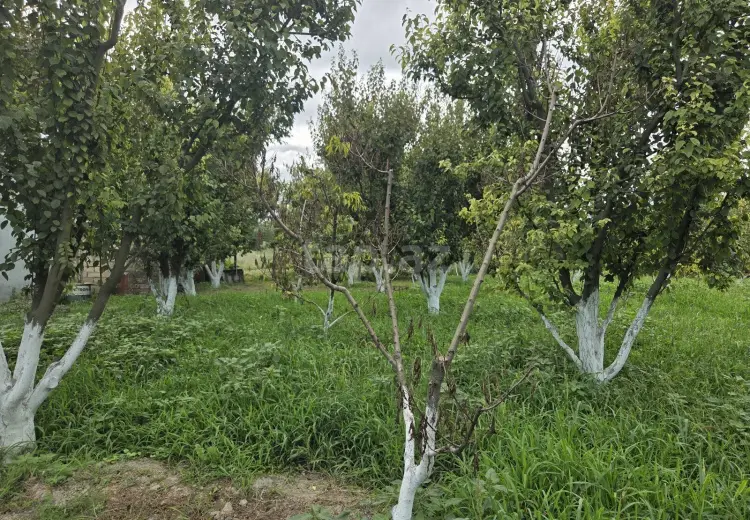 3 otaqlı mənzil , Xaçmaz