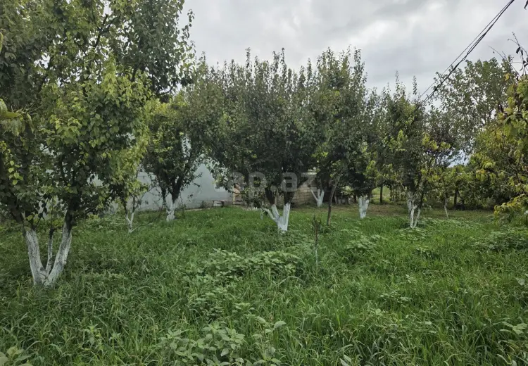 3 otaqlı mənzil , Xaçmaz