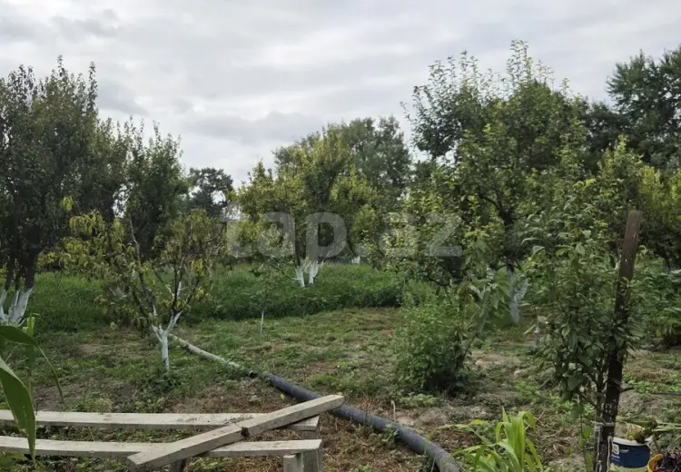 3 otaqlı mənzil , Xaçmaz