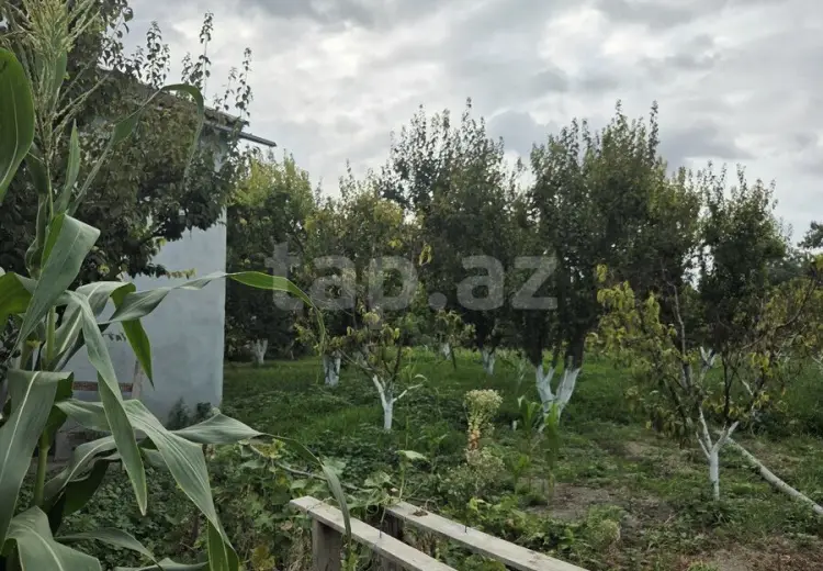 3 otaqlı mənzil , Xaçmaz