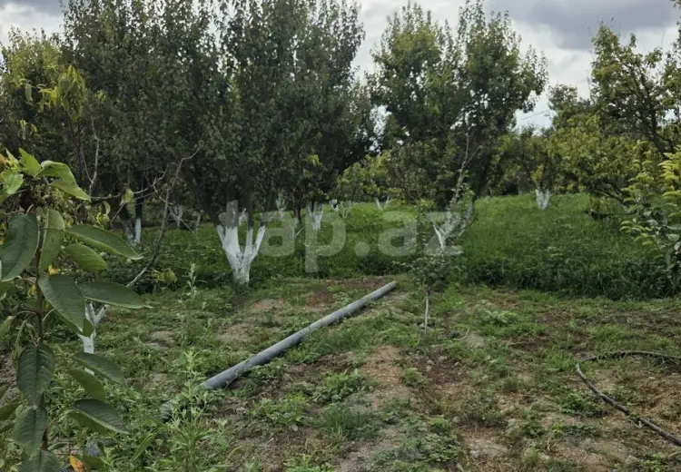 3 otaqlı mənzil , Xaçmaz