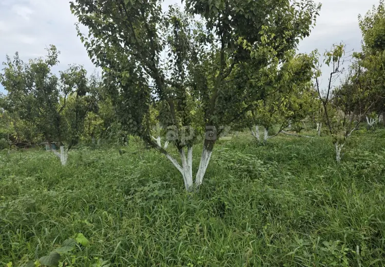 3 otaqlı mənzil , Xaçmaz