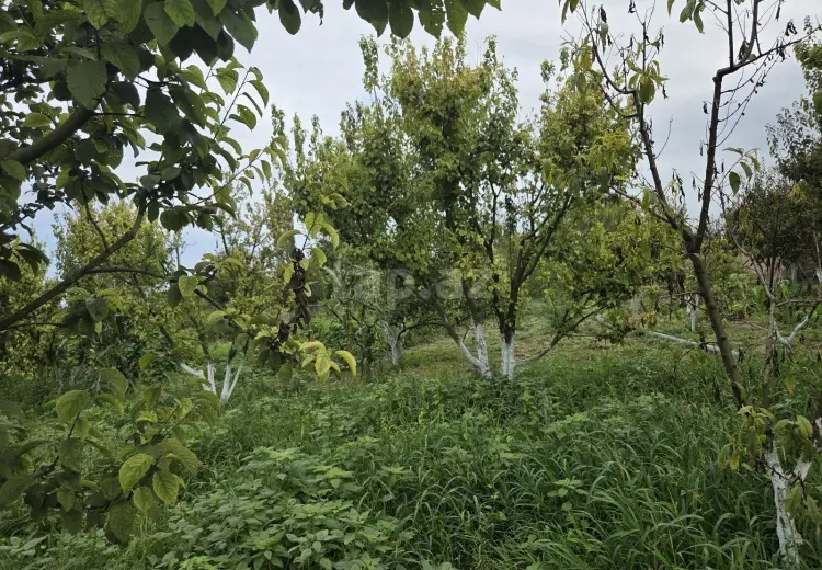 3 otaqlı mənzil , Xaçmaz