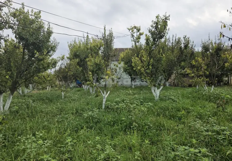 3 otaqlı mənzil , Xaçmaz