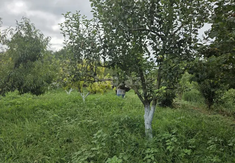 3 otaqlı mənzil , Xaçmaz