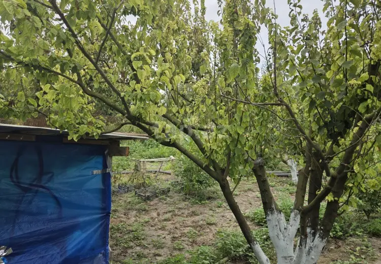 3 otaqlı mənzil , Xaçmaz
