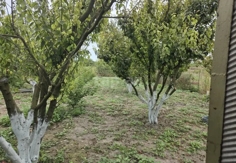 3 otaqlı mənzil , Xaçmaz