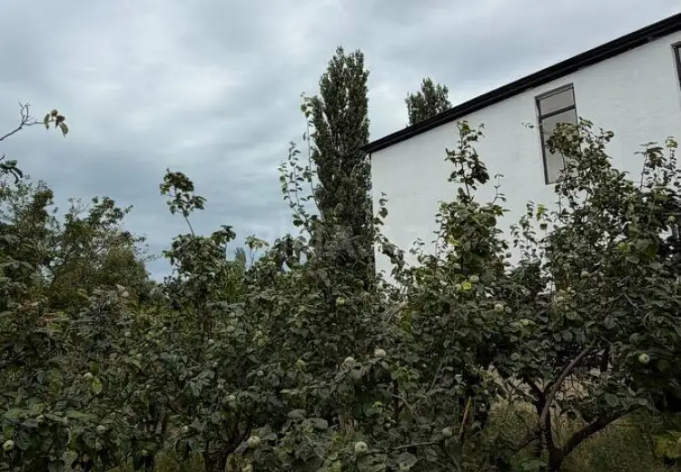 12 sot Torpaq Satılır, Goradil, Abşeron