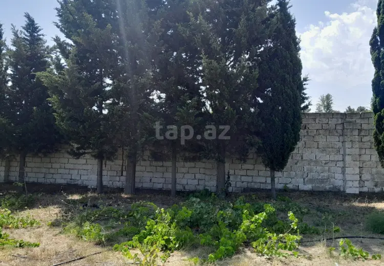 0 m² Obyekt / Ofis , Bakı
