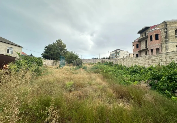 12 sot Torpaq Satılır, Saray, Abşeron