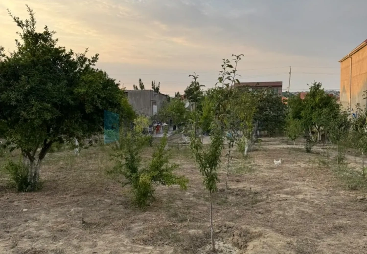 12 sot Torpaq Satılır, Masazır, Abşeron