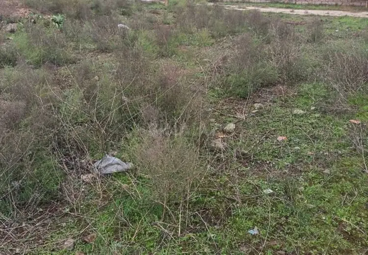 3 sot Torpaq Satılır, Buzovna, Xəzər, Bakı