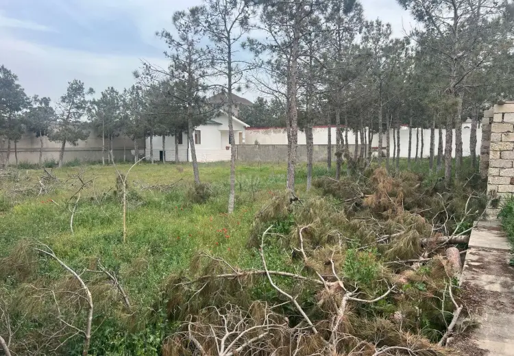 20 sot Torpaq Satılır, Şüvəlan, Xəzər, Bakı