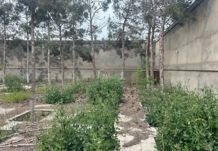 20 sot Torpaq Satılır, Şüvəlan, Xəzər, Bakı