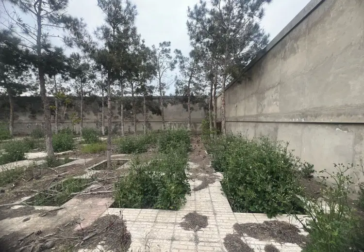 20 sot Torpaq Satılır, Şüvəlan, Xəzər, Bakı