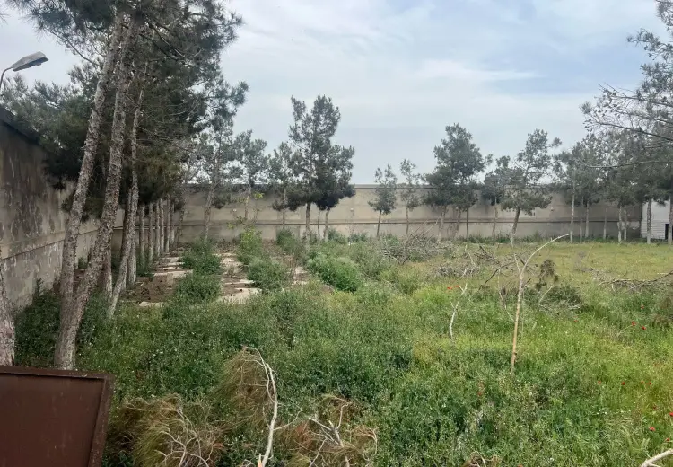 20 sot Torpaq Satılır, Şüvəlan, Xəzər, Bakı