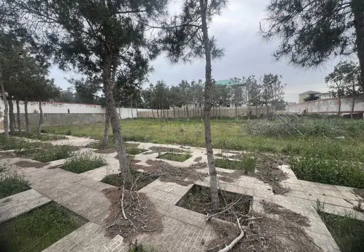 20 sot Torpaq Satılır, Şüvəlan, Xəzər, Bakı