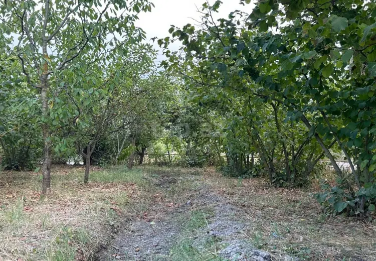 0 m² Obyekt / Ofis , Xaçmaz