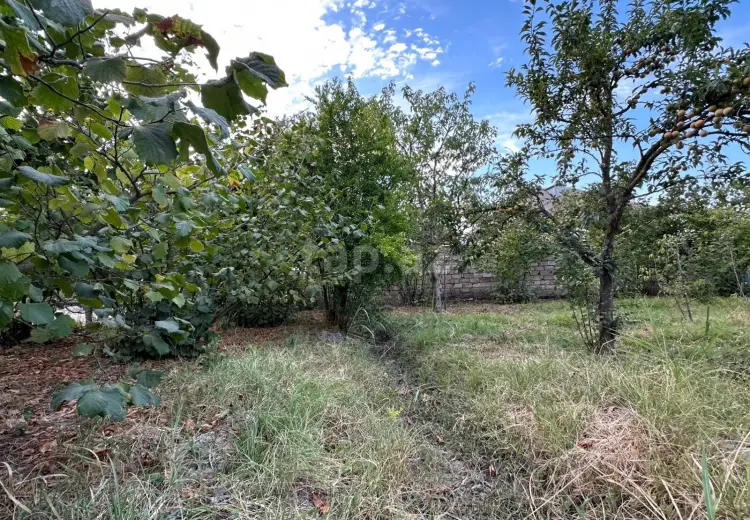 0 m² Obyekt / Ofis , Xaçmaz