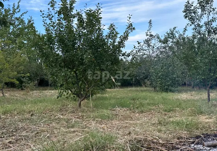 0 m² Obyekt / Ofis , Xaçmaz
