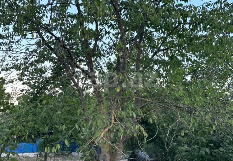 0 m² Obyekt / Ofis , Xaçmaz