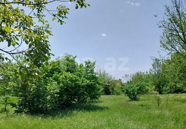 0 m² Obyekt / Ofis , Qəbələ