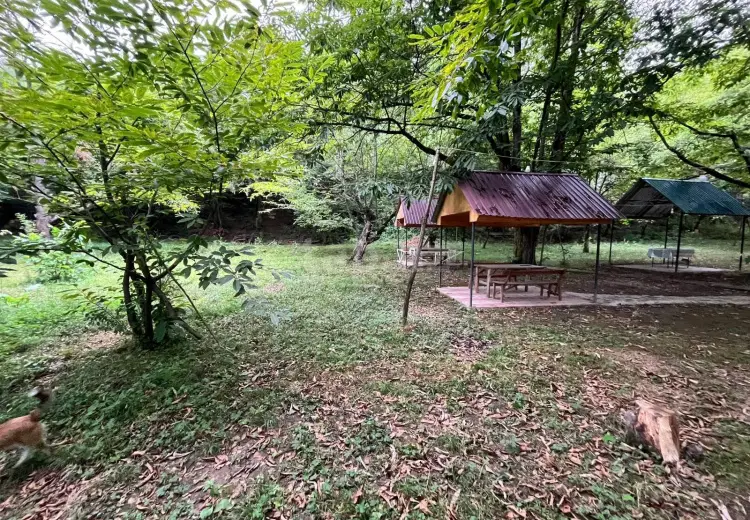 0 m² Obyekt / Ofis , Qəbələ