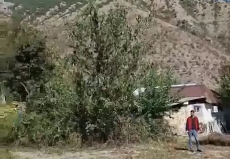 6 sot Torpaq Satılır, Şəki