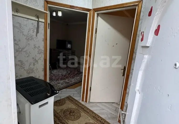 300 AZN - 2 otaqlı mənzil Kirayə (aylıq), Gəncə