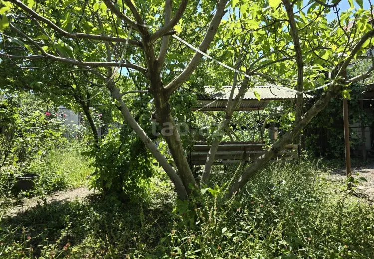 4 otaqlı mənzil , Quba