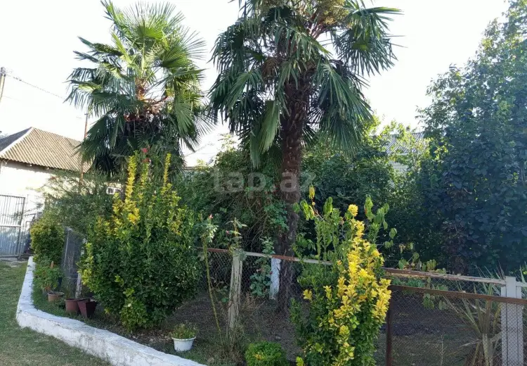 3 otaqlı mənzil , Masallı
